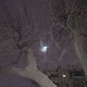 Meet your Posher, Gianelly